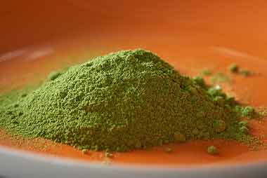 moringa powder