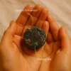 Taste Of Leaves "Ceylon Cinnamon Infused Tea Cubes" - Image 4